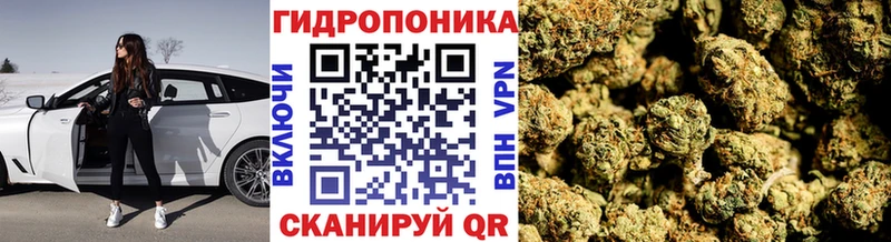 Шишки марихуана Amnesia  Купить где  Междуреченск 